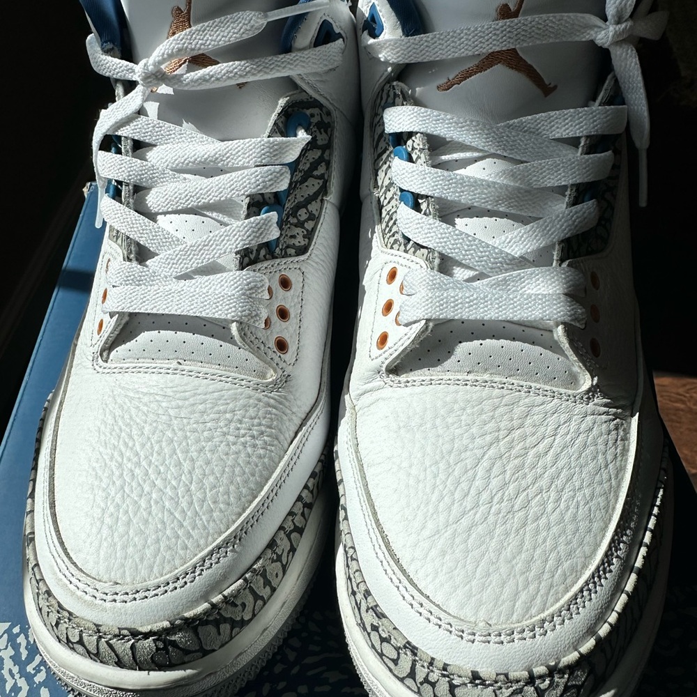 Jordan 3 Wizards Size 12.5